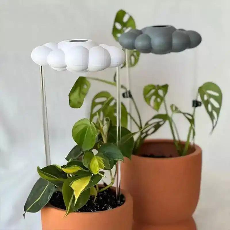 Aspersor Nuvem Gotejador para Plantas