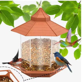 Comedouro Para Passaros Livres Premium Bird Feeder